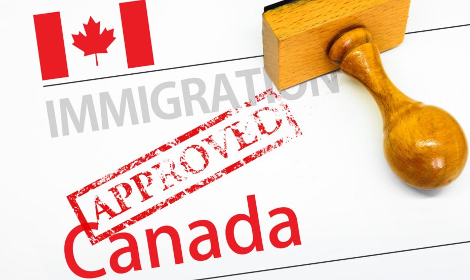 Consultation at Northern Arc Immigration Services